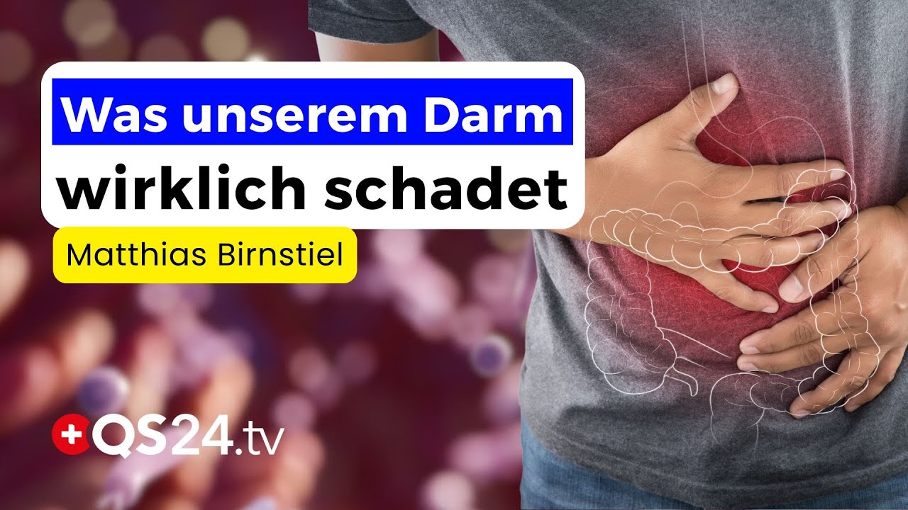 Darmgesundheit verstehen &ndash; Die Rolle von Mikrobiom, Ern&auml;hrung und Vitalstoffen | QS24