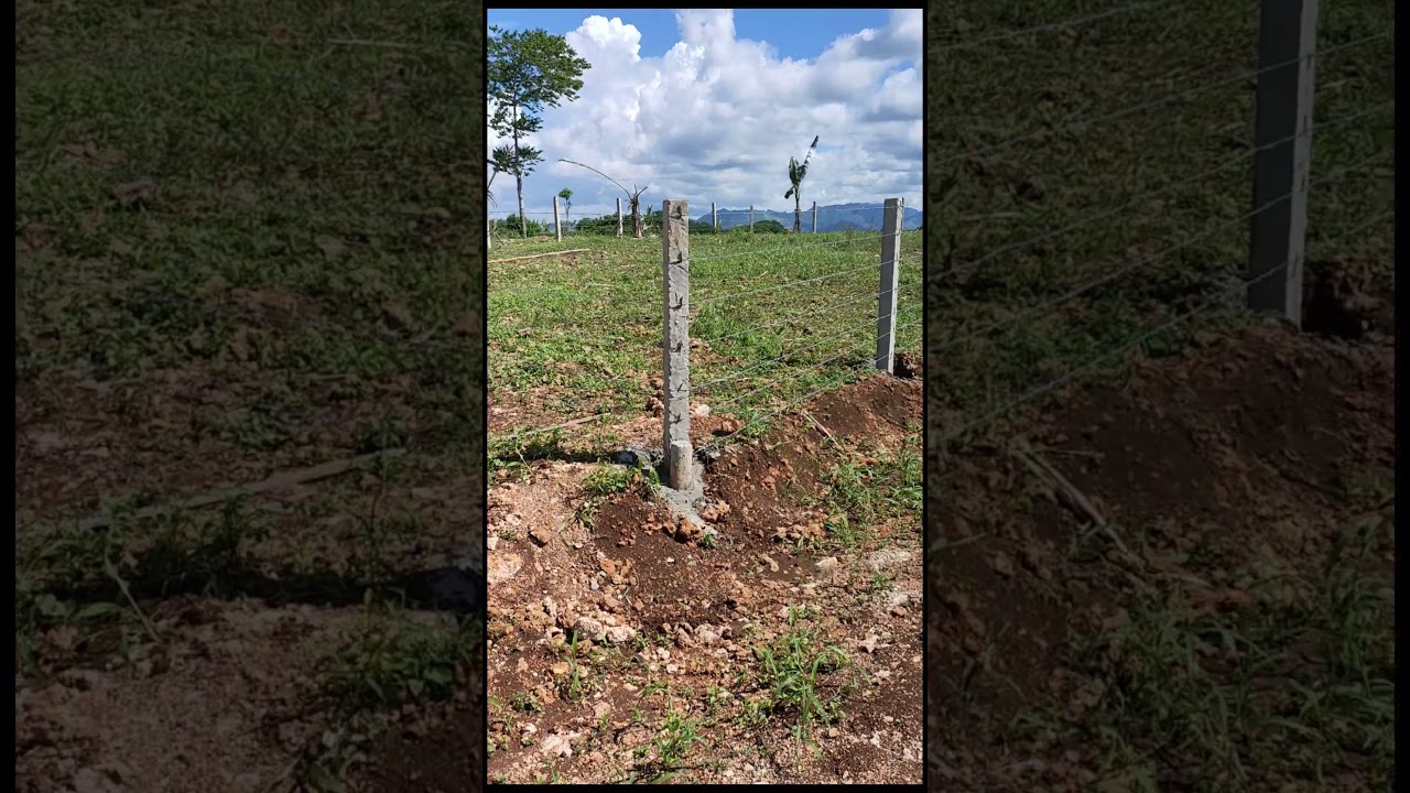 400 SQUARE METER MINI FARM LOT BARBED WIRE  FENCE #shorts #philippines  #nature #farmlot
