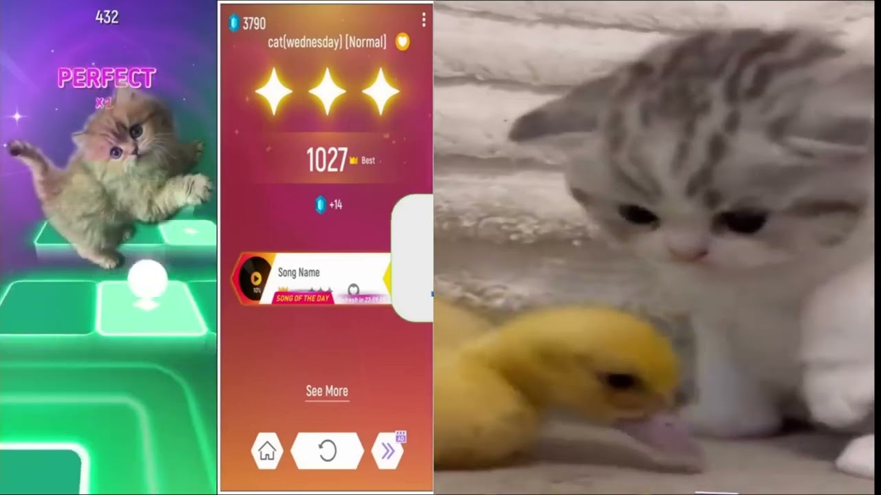 TILES HOP EDM RUSH VS FUNNY CATS