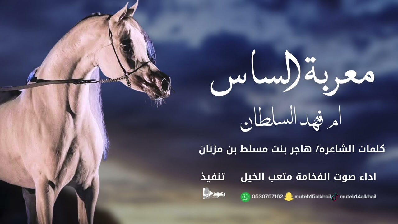 شيلة معربة الساس آداء صوت الفخامه متعب الخيل جديد2026حصرياً