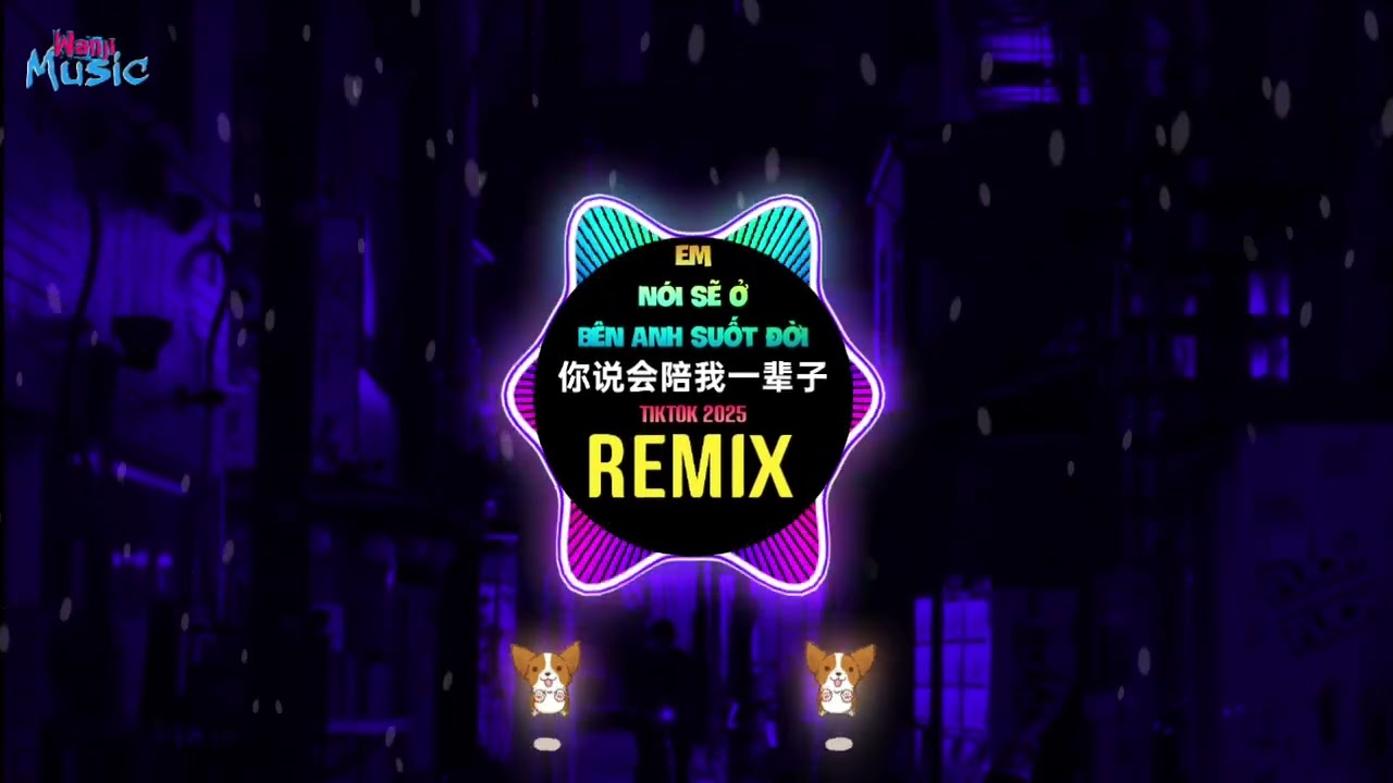 你说会陪我一辈子 (动感版DJR7版) 把你名字纹手臂 Em Nói Sẽ Ở Bên Anh Suốt Đời (Remix Tiktok 2025) - 张晋博 (Trương Tấn Bác)