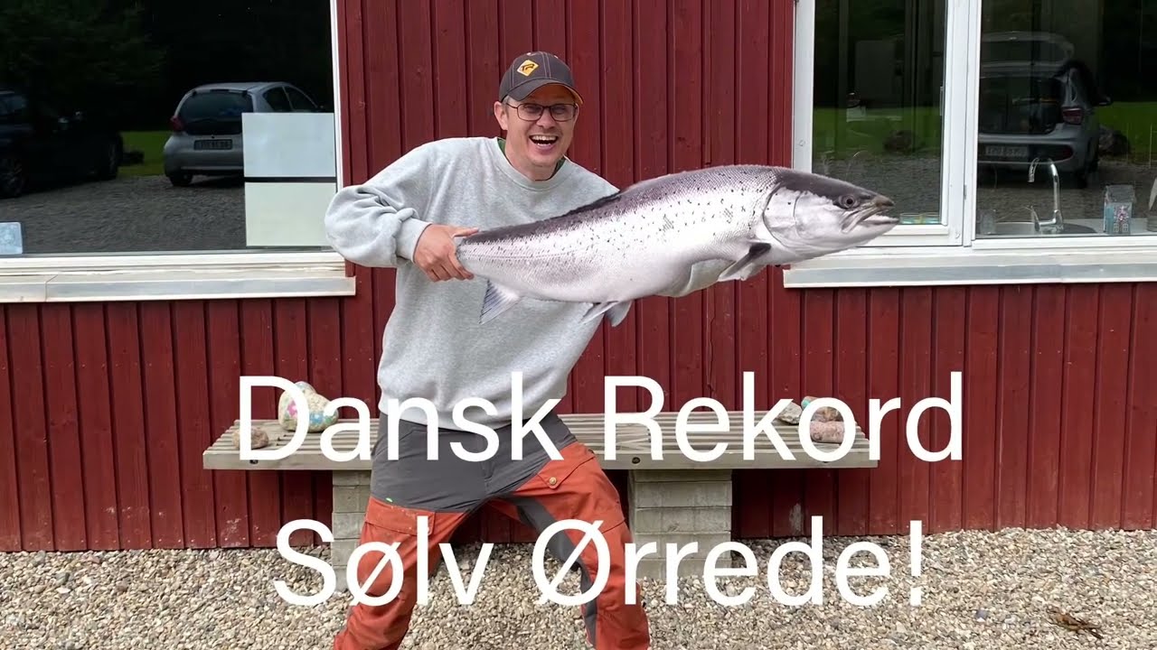 Ny Dansk Rekord S&oslash;lv &Oslash;rrede