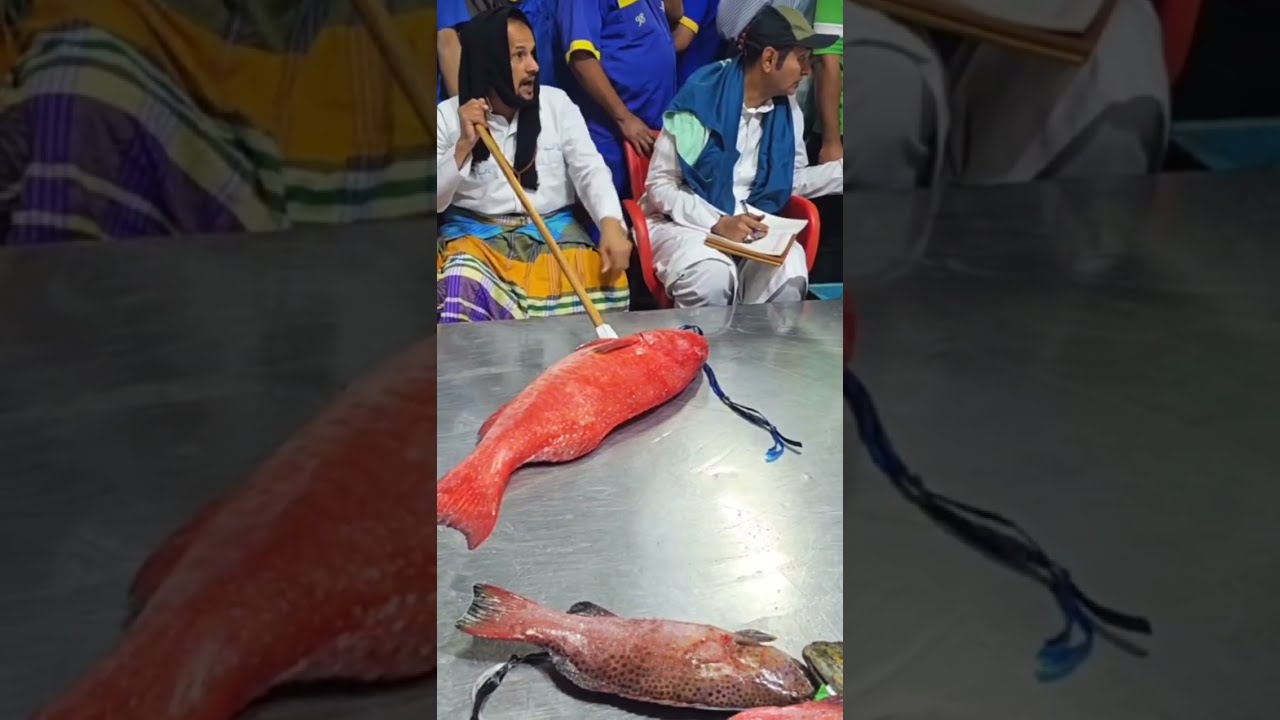 حراج الفجر في جدة مزاد رمضاني للاسماك 