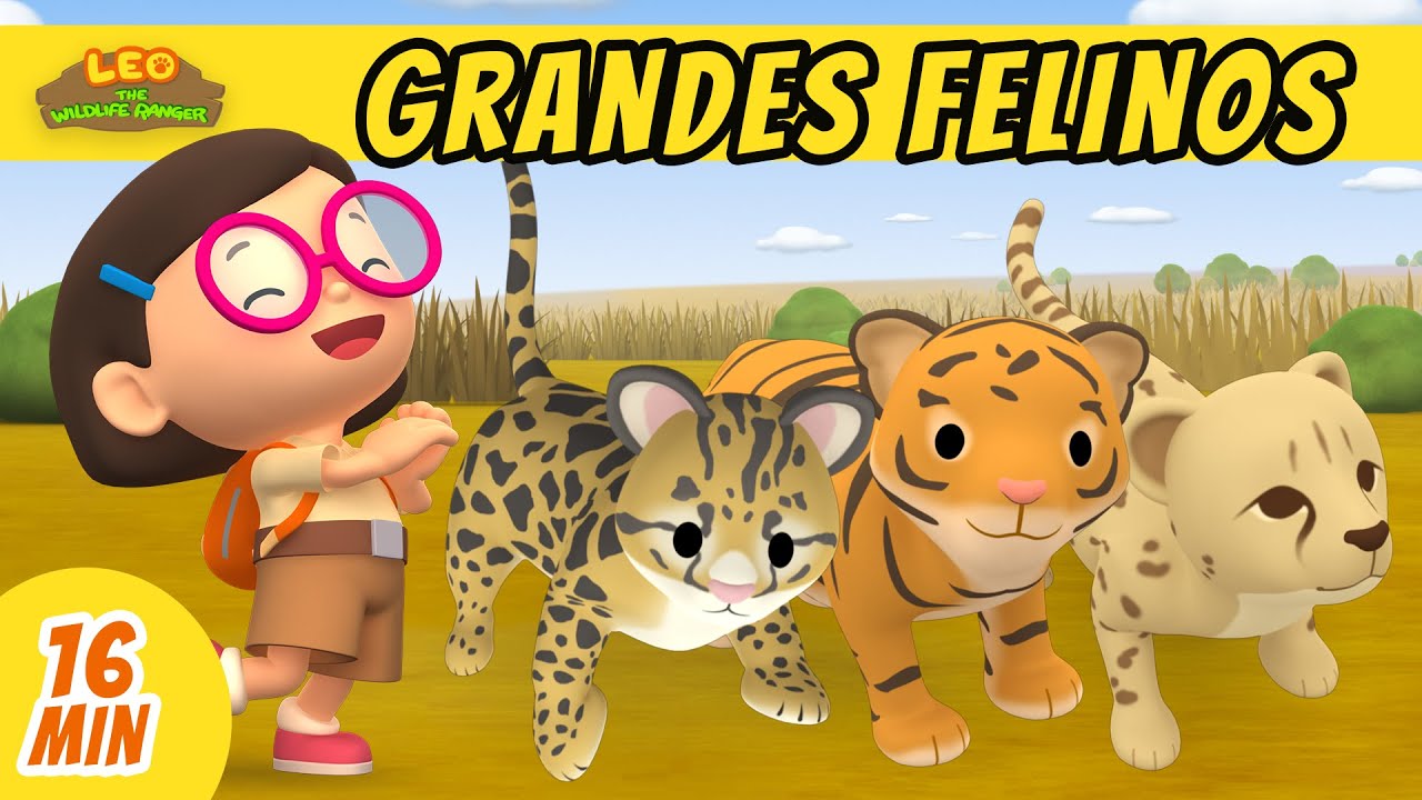 Grandes Felinos Episodio Compilación (Español) - Leo, El Explorador | Animación - Familia - Niños