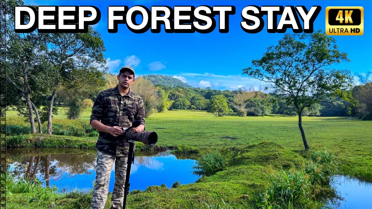 ഇത് നമ്മുടെ കേരളത്തിലാണ് !!! | Superb Forest Stay - Jungle Inn Thekkdy | 4K UHD