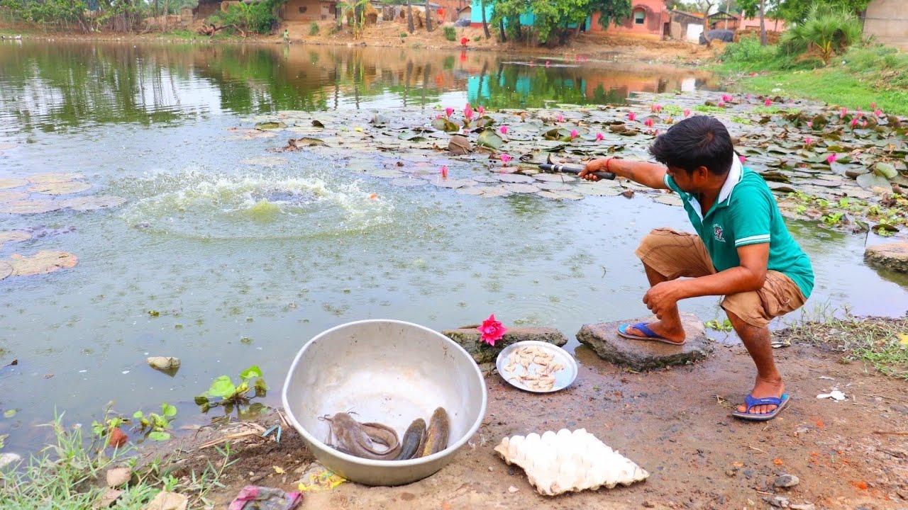 Fishing Video || Excellent fishing technique using shrimp || Amazing fish hunting || Village fishing