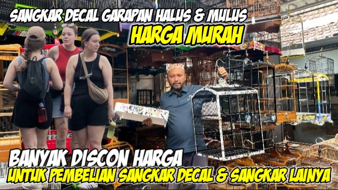 Banyak Discon Harga Beli Sangkar Decal & Sangkar Lainya #sangkar #sangkarkenari #sangkarmurai
