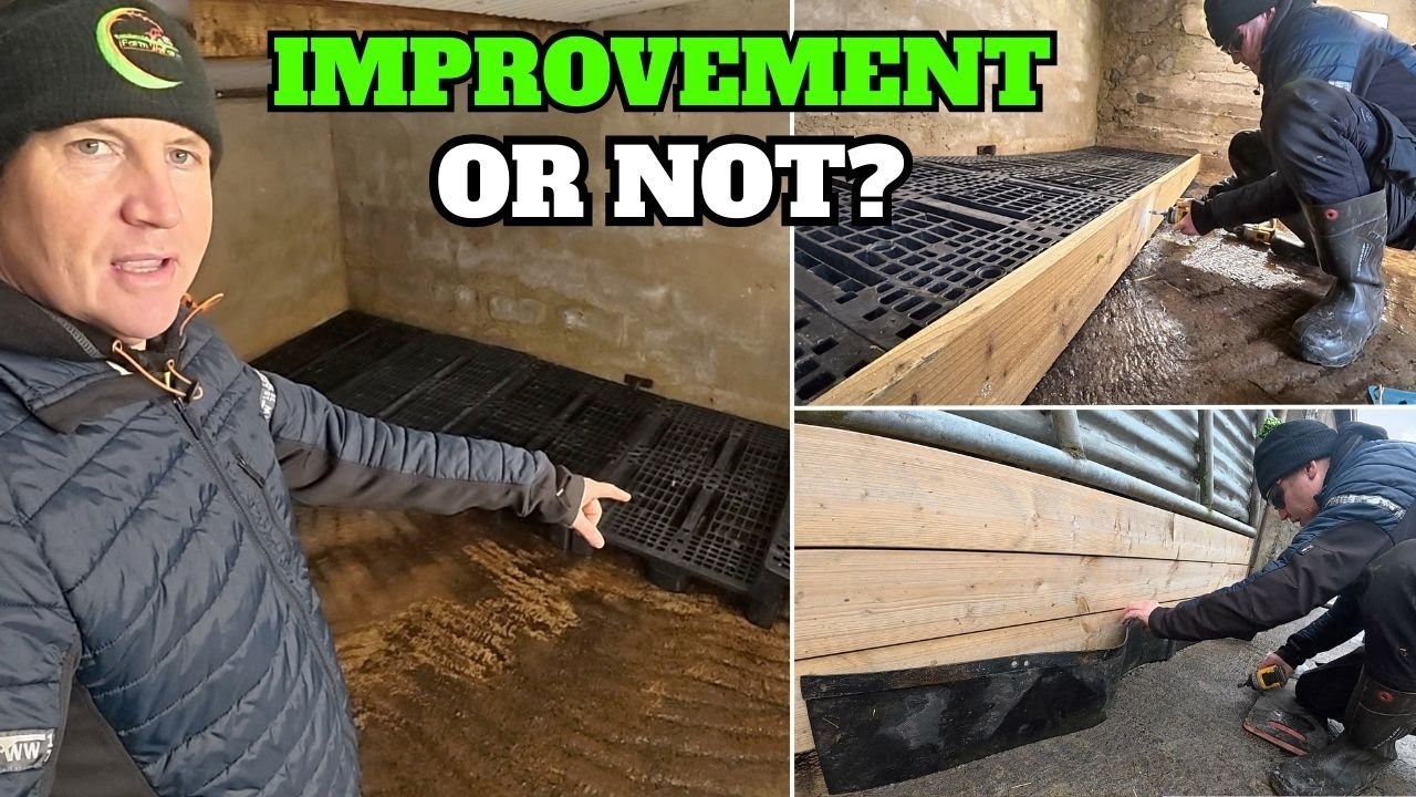 Пробуем что-то новое | Модификация поведения других и преодоление последствий серьезной травмы