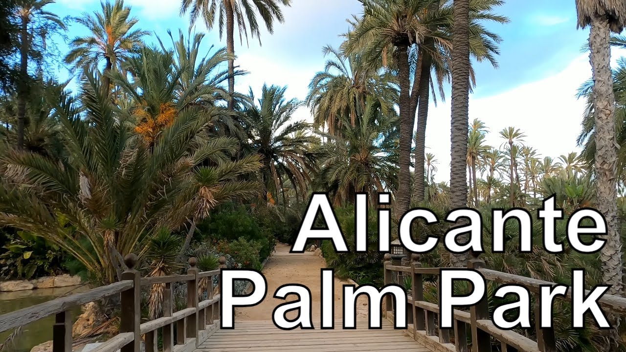 🇪🇸 El Palmeral Alicante beautiful Palm park