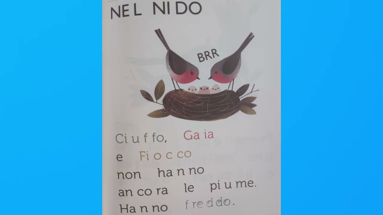 Le stagioni di Pitti