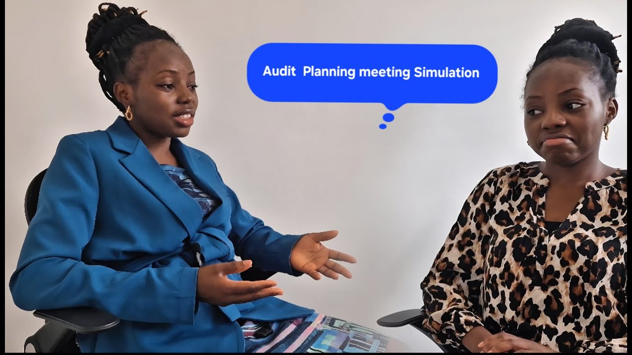 Audit Simulation | Audit Planning meeting | External Auditor VS Auditee  #career #audit #beginners 