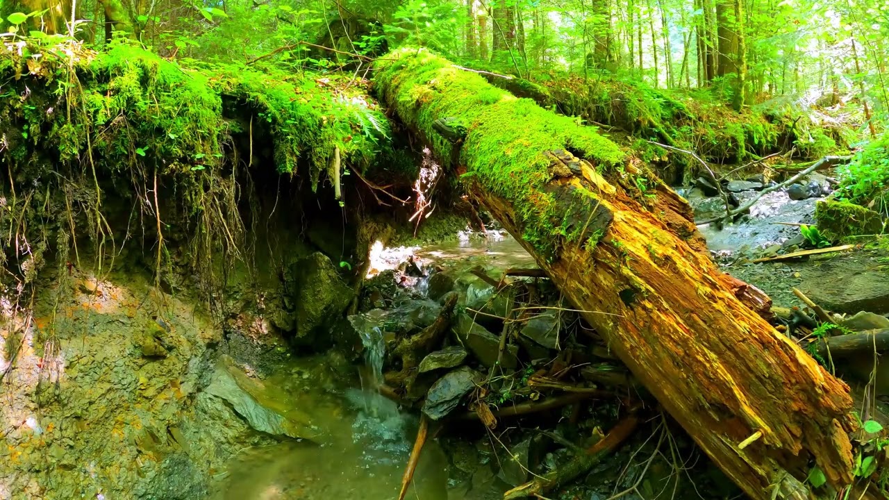 Piano Music for Stress Relief, Healing, Meditation 9