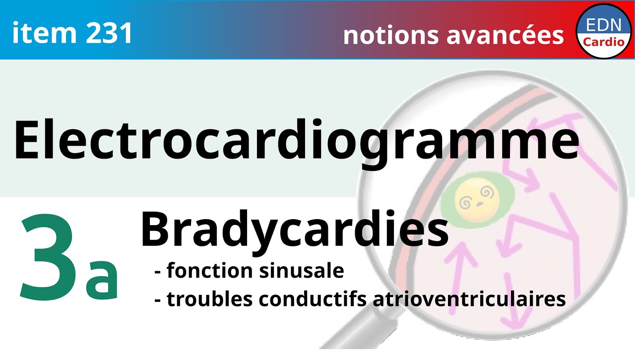 231 -  ECG - Partie 3a - Bradycardies : dysfonction sinusale et BAV - Notions avancées