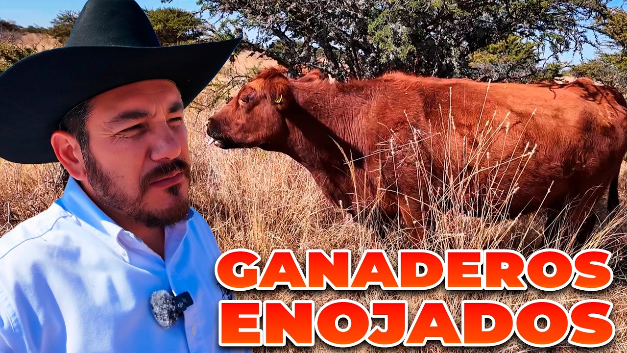 GANADEROS ENOJADOS CON LA ASOCIACIÓN | Rancho Cinco Talentos