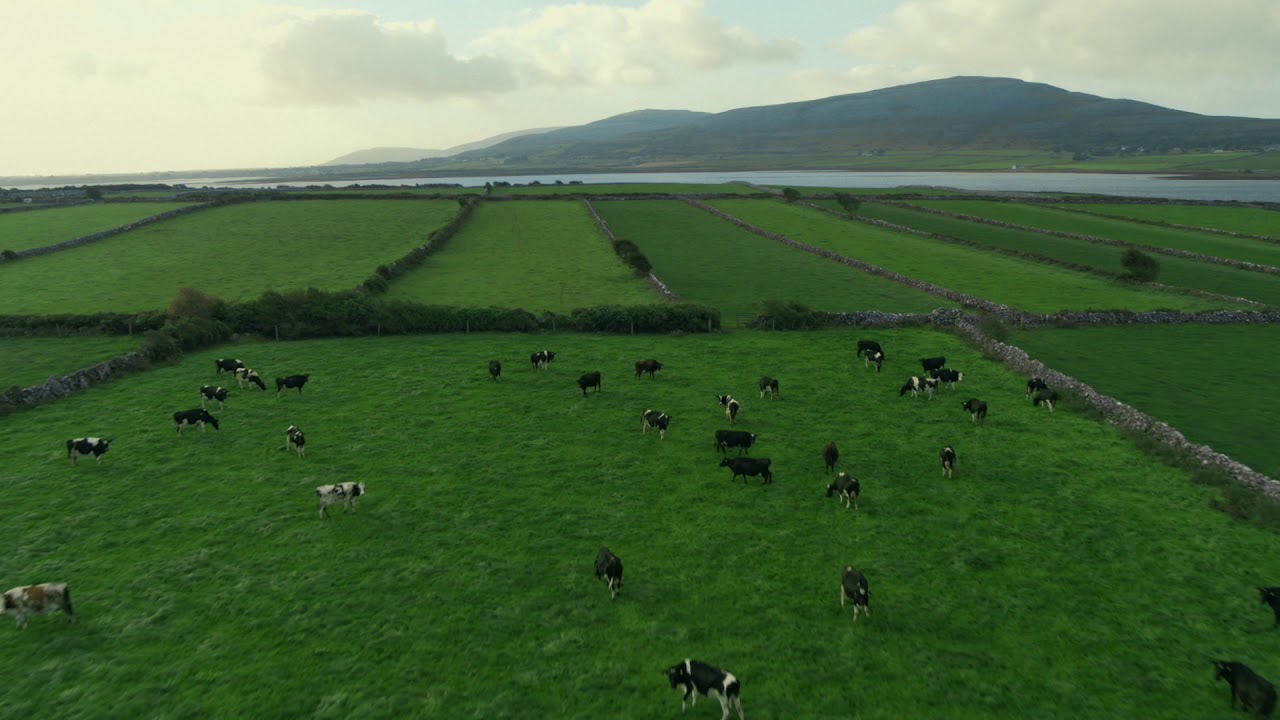 True Taste of Kerrygold