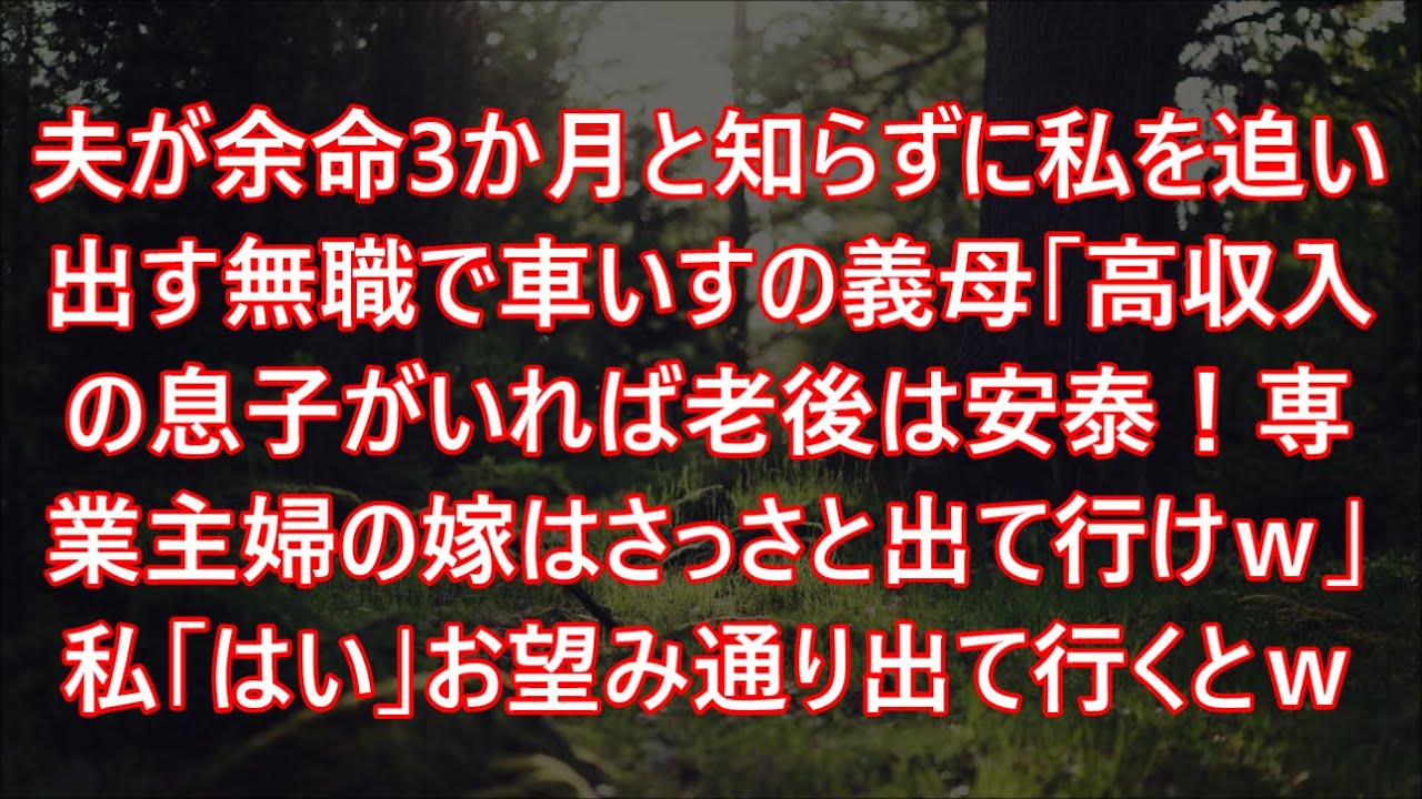 夫が余命3か月と知らずに私を追い出す無職で車いすの義母「高収入の息子がいれば老後は安泰！専業主婦の嫁はさっさと出て行けｗ」私「はい」お望み通り出て行くとｗ