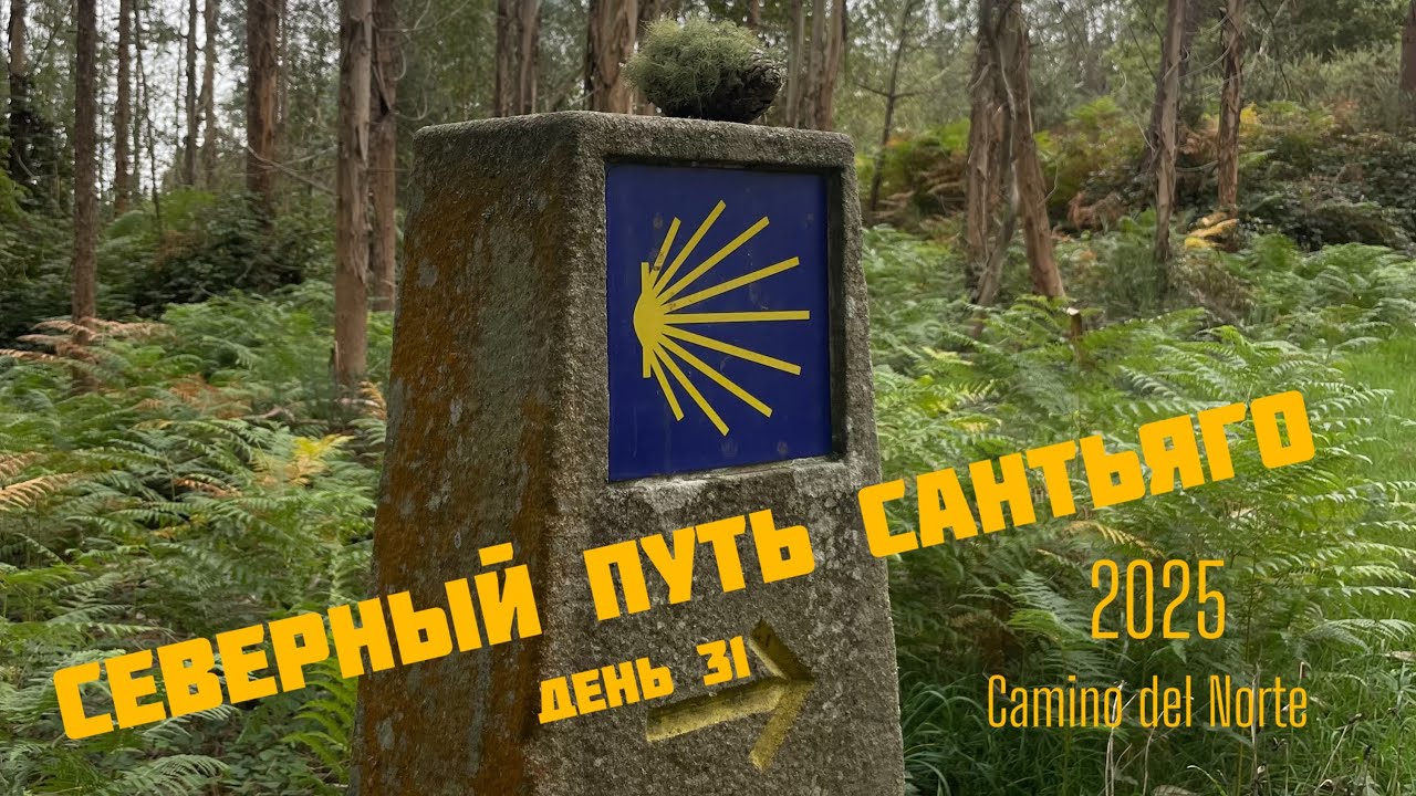День 31. Северный Путь Сантьяго/Camino del Norte 2025