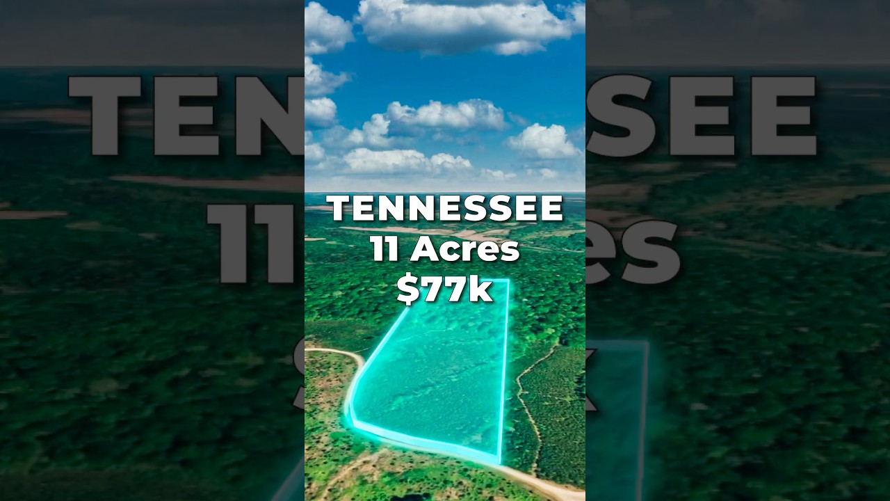 11 Acres of LAND for SALE in TENNESSEE with Power for $77k &bull; LANDIO