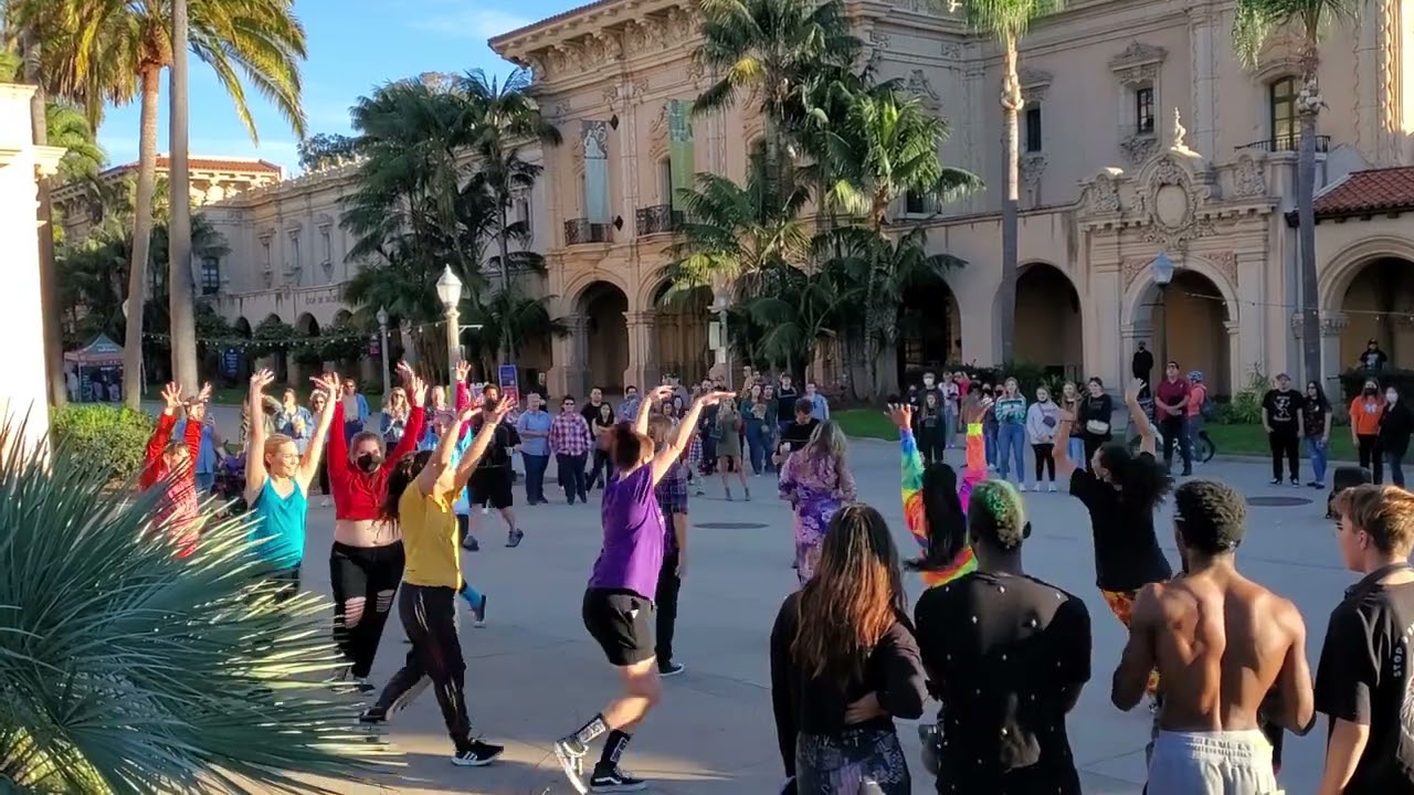 Proposal Flash Mob at Balboa Park