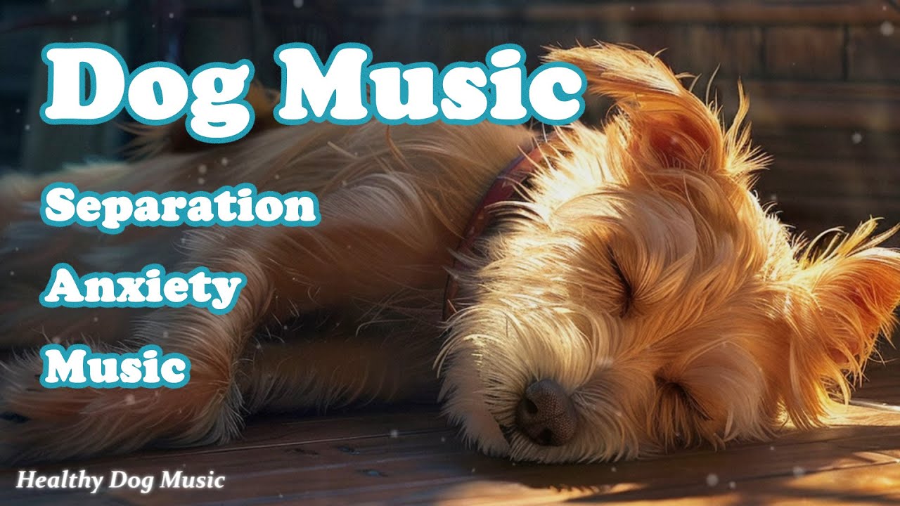 Музыка для собак, чтобы заснуть💖Исцеляющая музыка для собак 🐶 Успокаивающая музыка