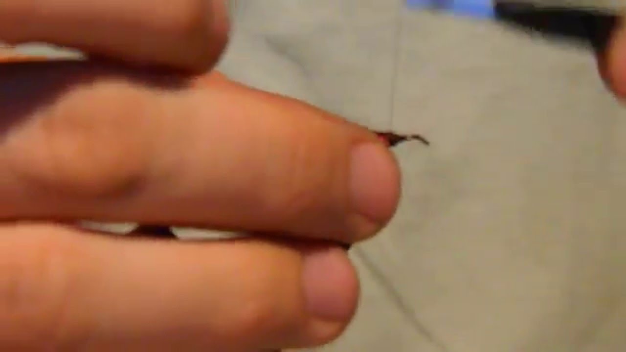 Musca artificiala de biban
