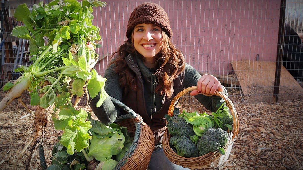 HUGE Winter Garden Harvest | January Garden Tour