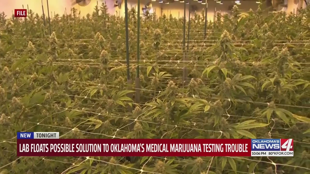 Lab floats possible solution to Oklahoma's medical marijuana testing trouble