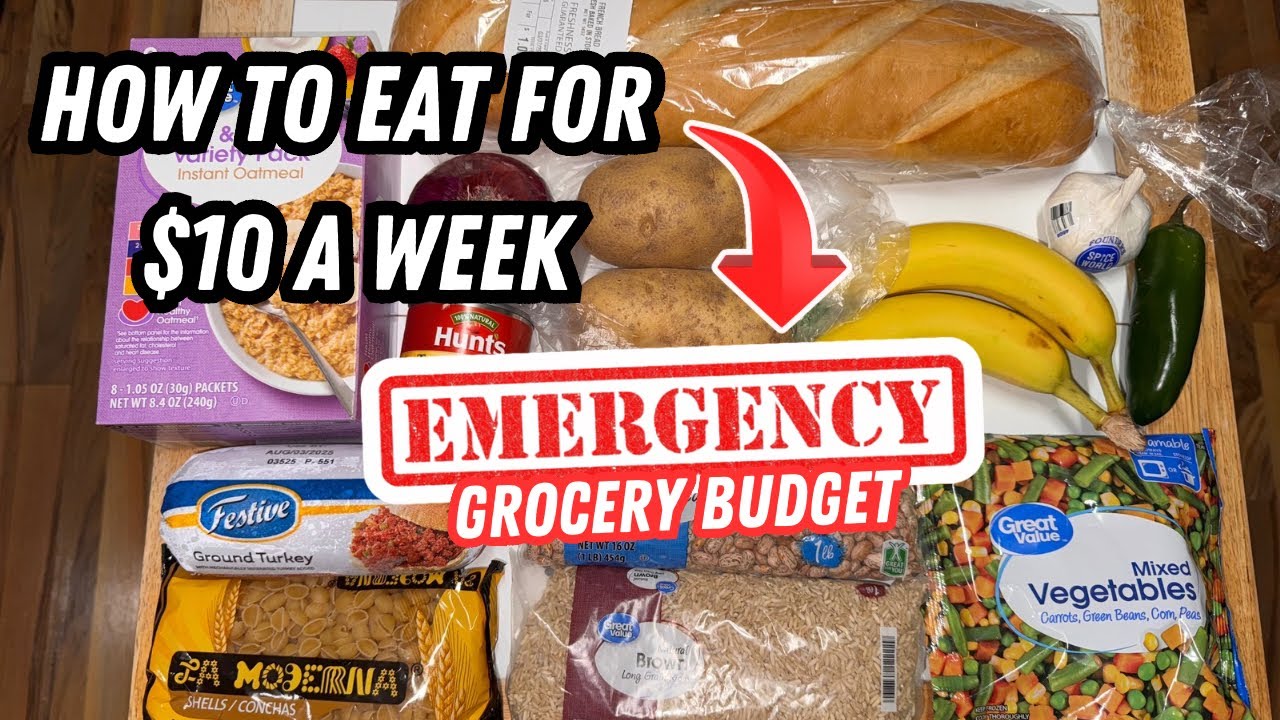 21 Meals For $10 ||| Extreme Grocery Budget To Get Through Hard Times