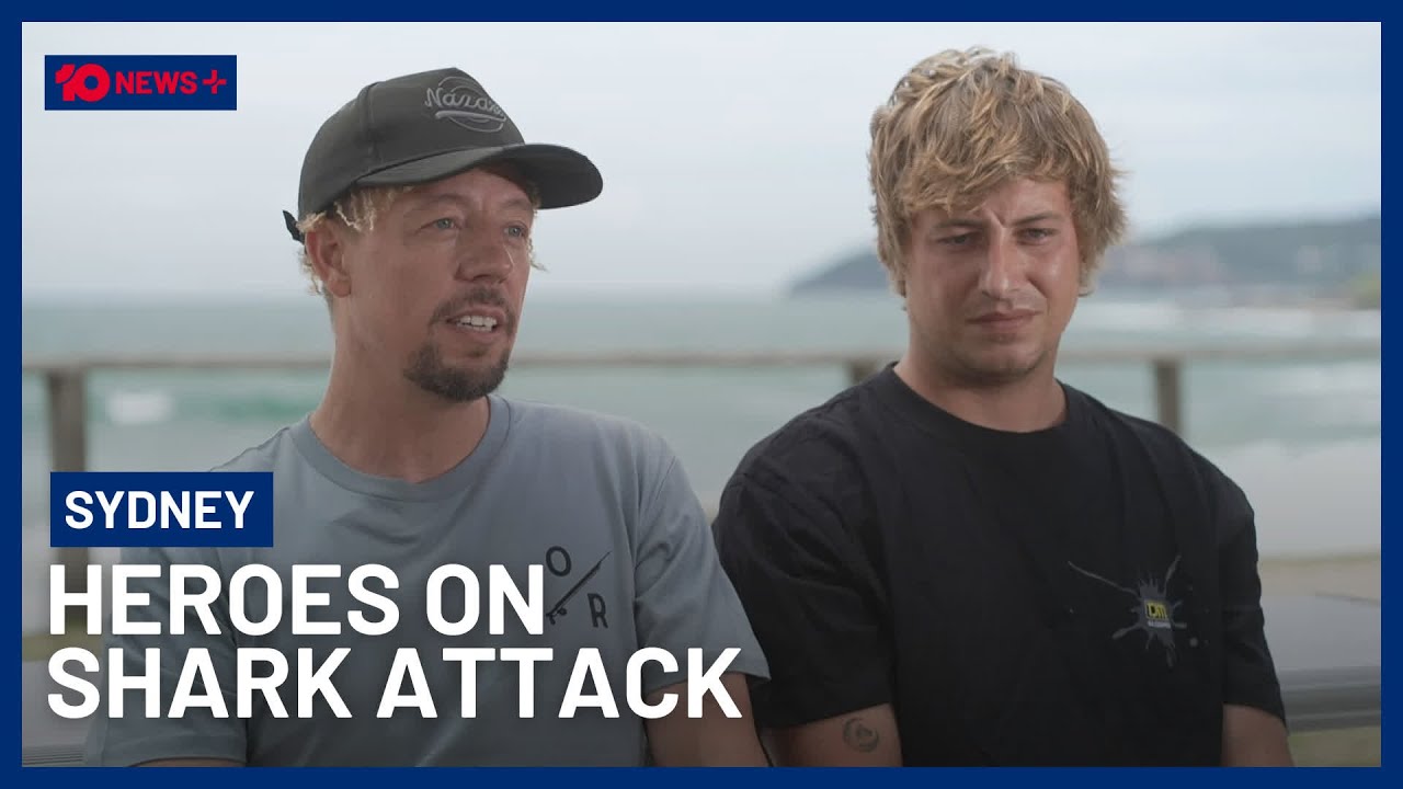 Hero Surfers Describe Rescuing Victim Of Manly Beach Shark Attack | 10 News+