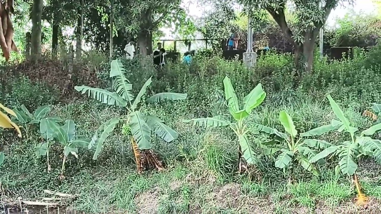 OFW east daan bago Samal Bataan