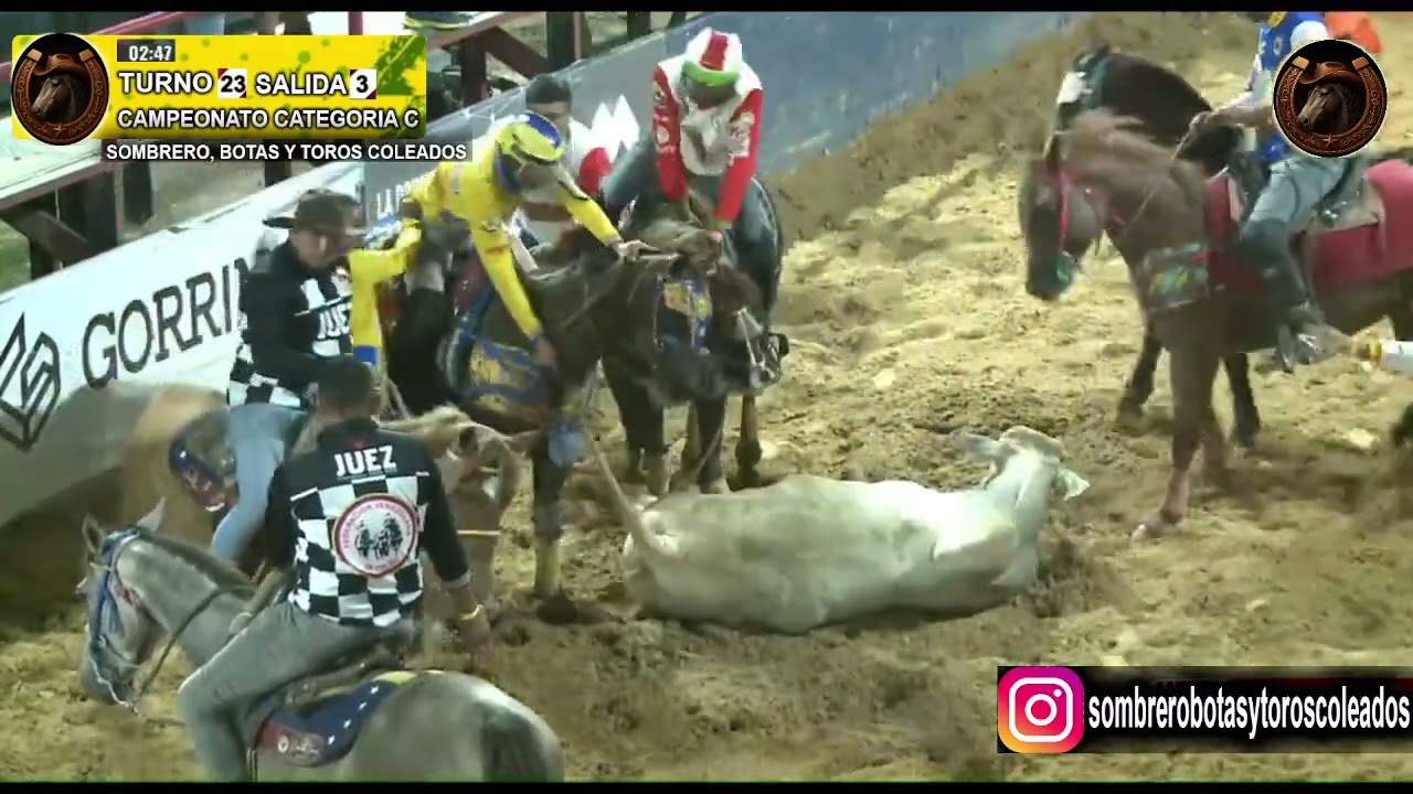 TURNOS 22-23-24-25 SALIDA 3 SABADO CAMPEONATO NACIONAL CATEGORIA C 2025 06/12/2025