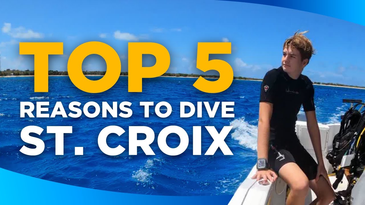 Why St. Croix Must Be Your Next Scuba Diving Destination