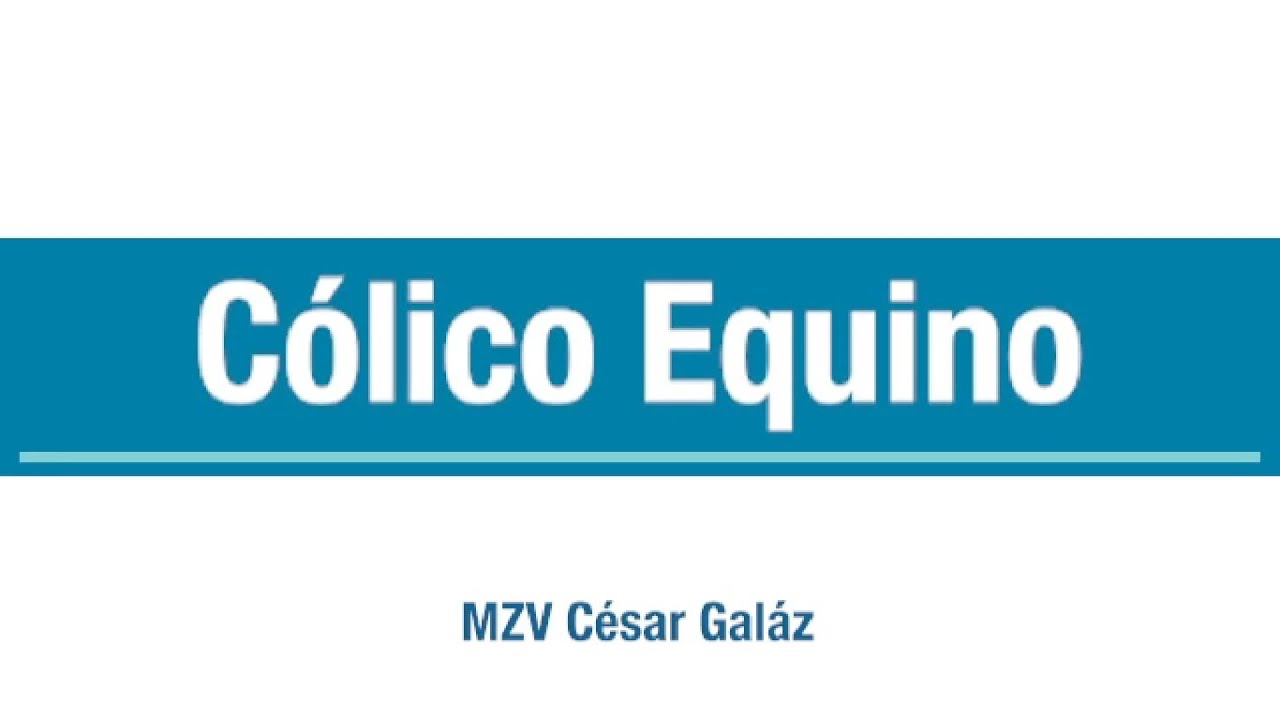 Cólico equino