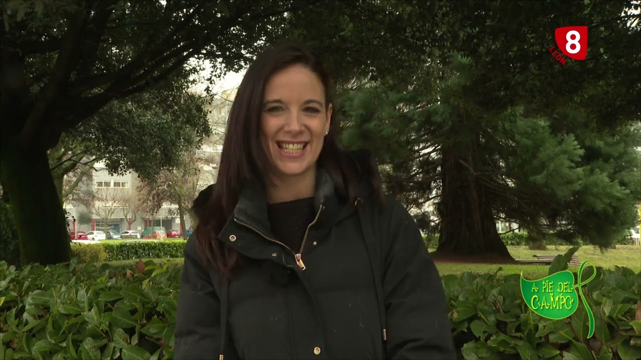 A PIE DEL CAMPO (31-01-26)