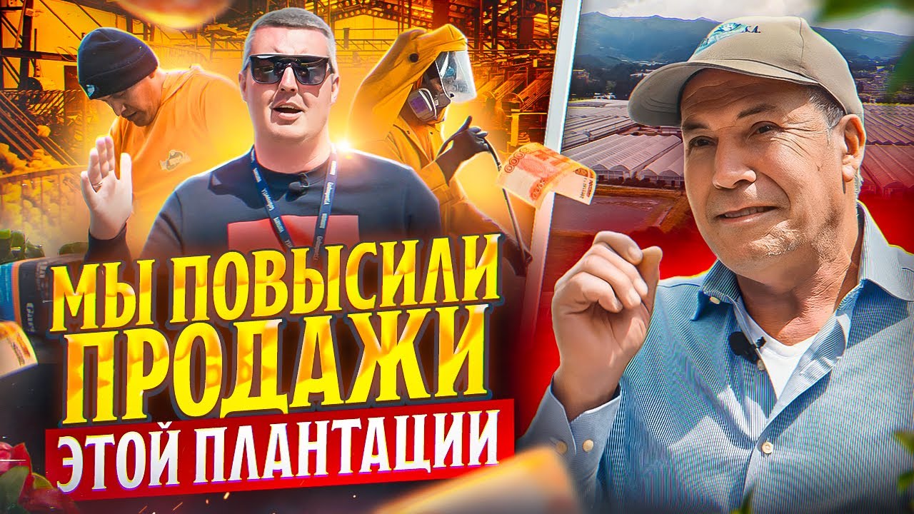 Самая знаменитая плантация Эквадора | Garda Export | Цветы оптом