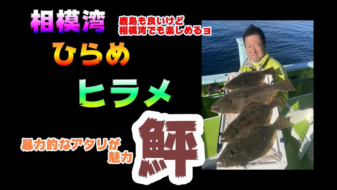 冬の相模湾肉厚ヒラメ釣りは好調4枚!