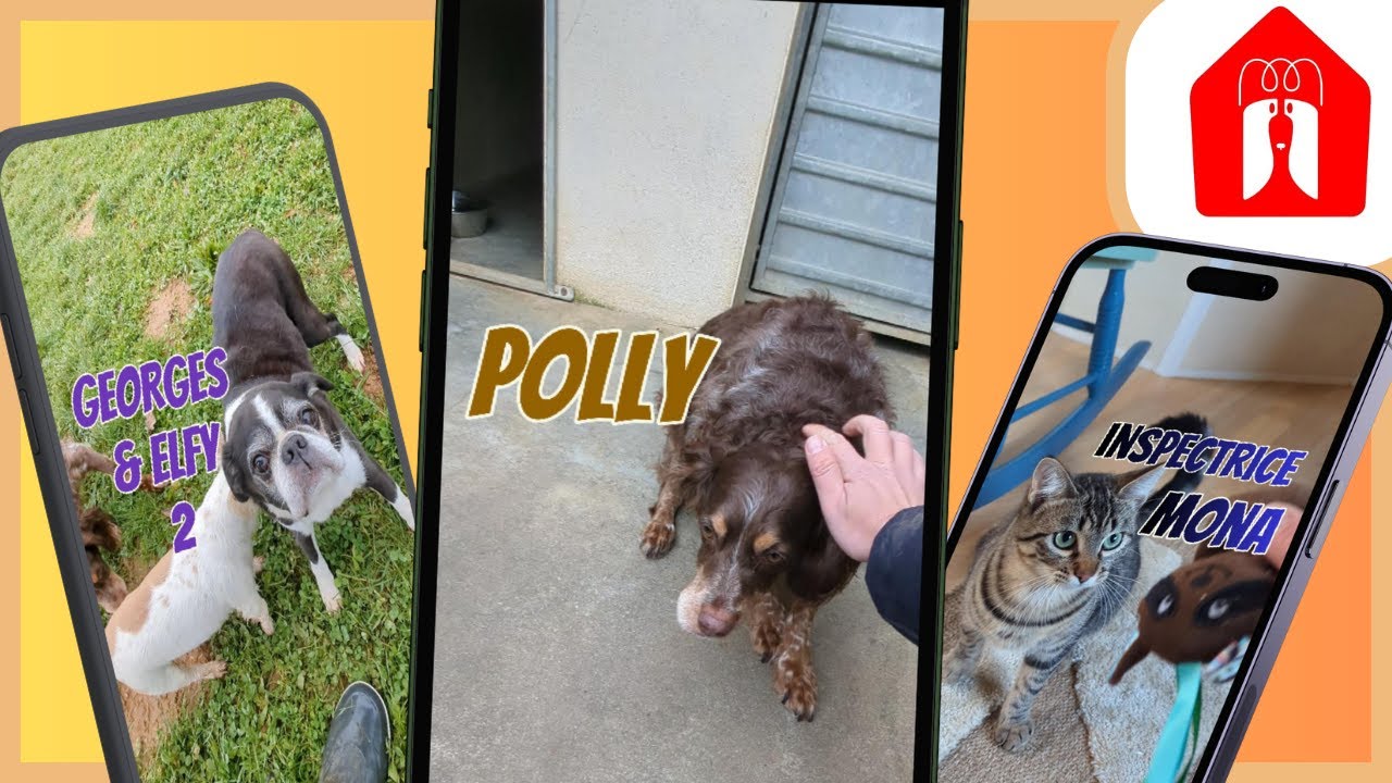 SUPER ADAPTATION DE POLLY ! 🐶 Pension CHEZ MARTH' 87 #57