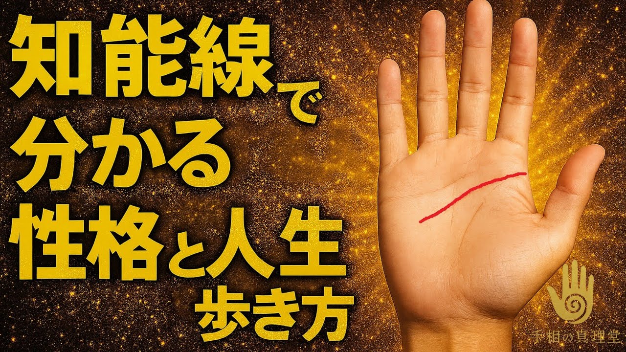 【知能線占い】知能線を見れば分かる！あなたの性格と人生の歩き方！#手相 #占い #知能線