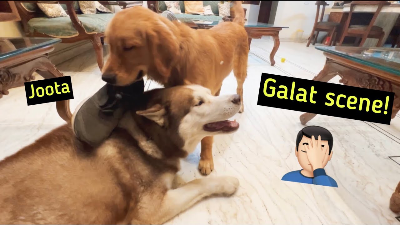 Ghost ke Sir pe ‘JOOTA’ rakh raha hai yaar 🤦🏻‍♂️🥲 | Shaitan Max 🥲