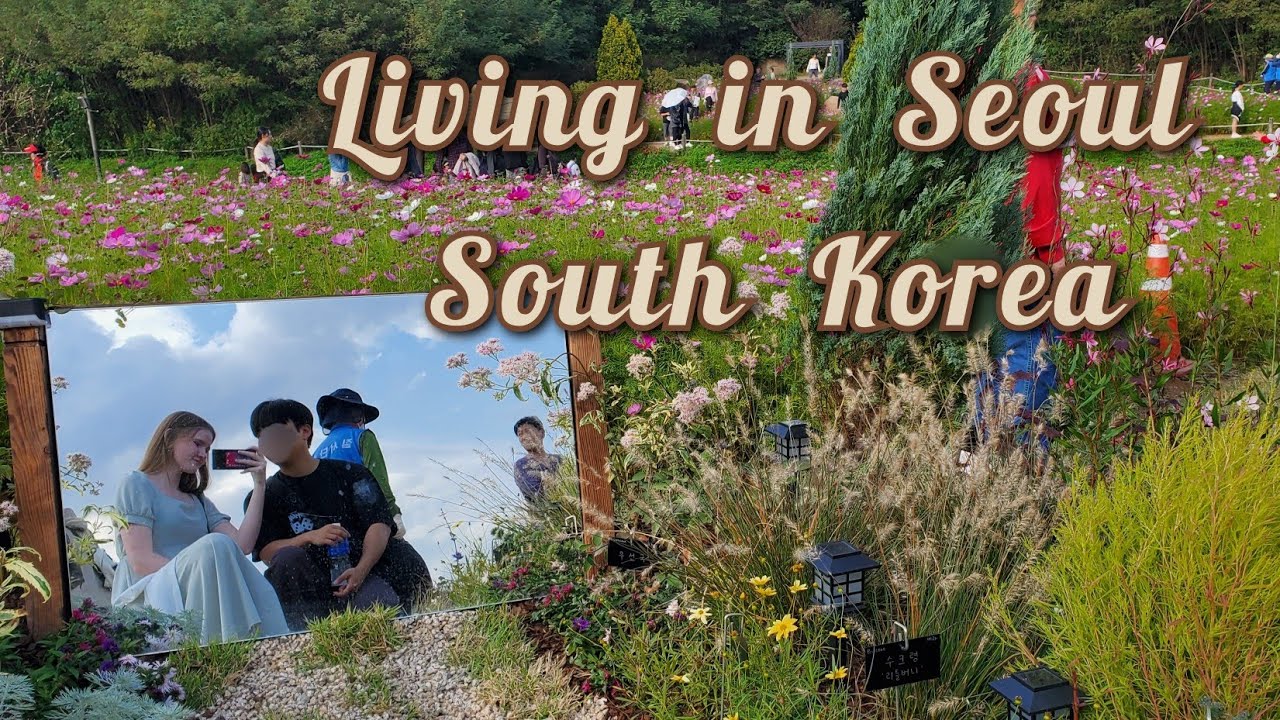 Month in my life Seoul South Korea