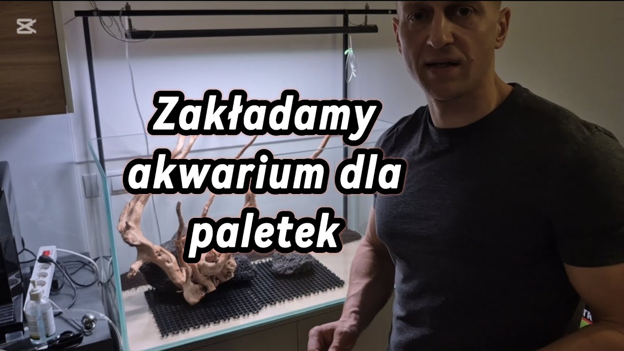 AKWARIUM KROK PO KROKU  #akwarium #akwarystyka
