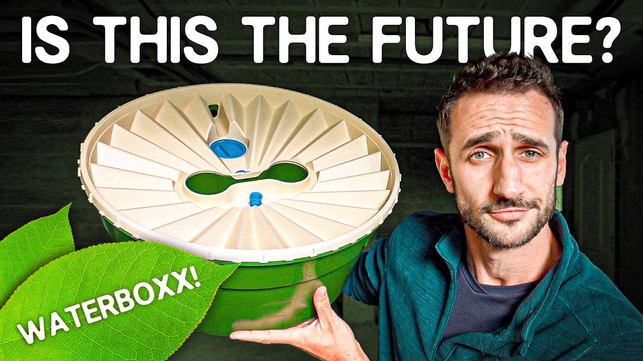 📦РАСПАКОВКА WATERBOXX!! Будущее лесовосстановления?? 🍃🤔