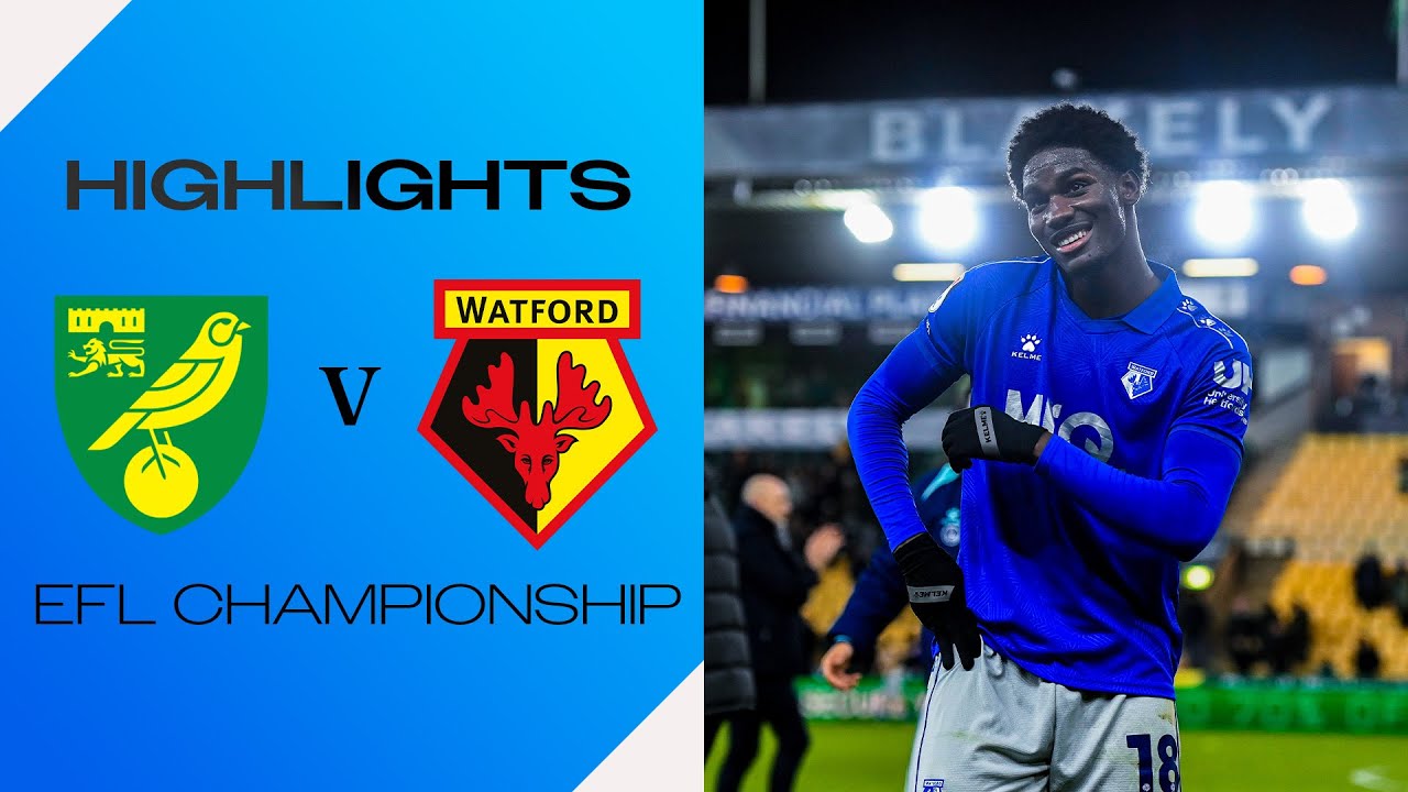 LAST-MINUTE LIMBS 😍 | Norwich City 0-1 Watford | Short Highlights