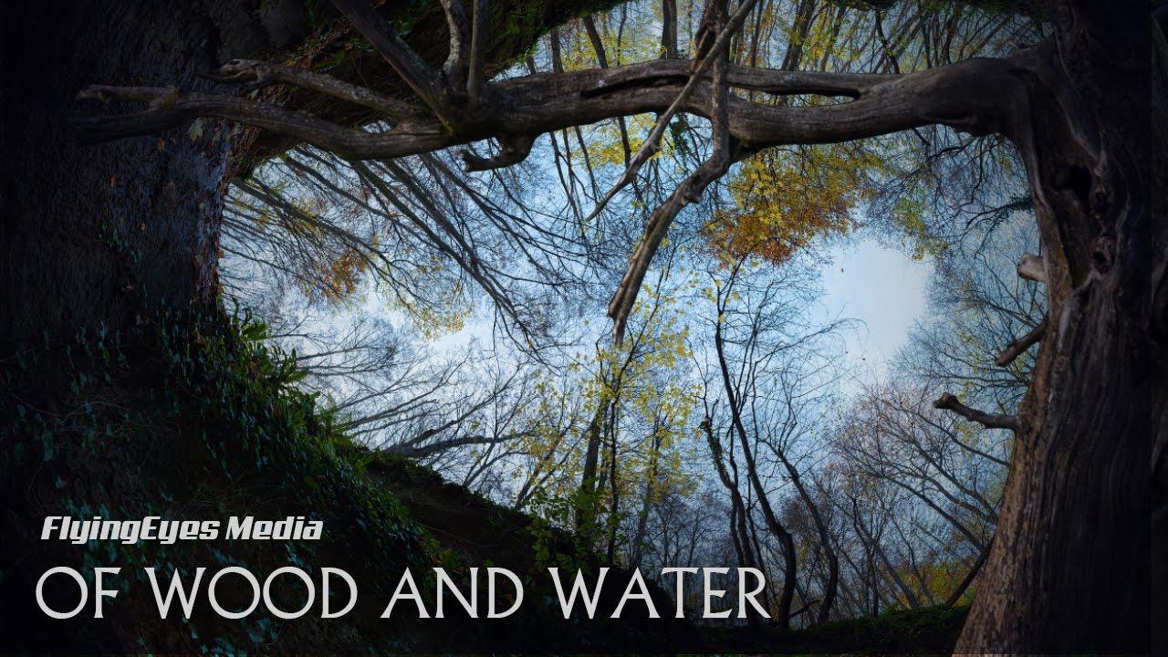 of WOOD and WATER (4K) - FlyingEyes Media