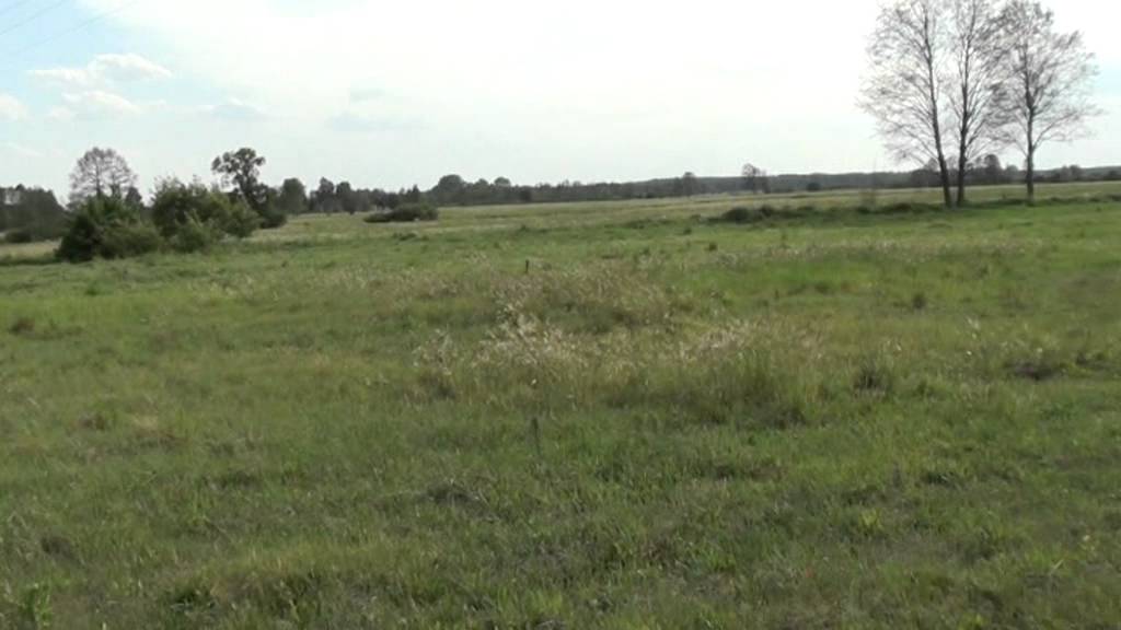 Kobylarnia działki
