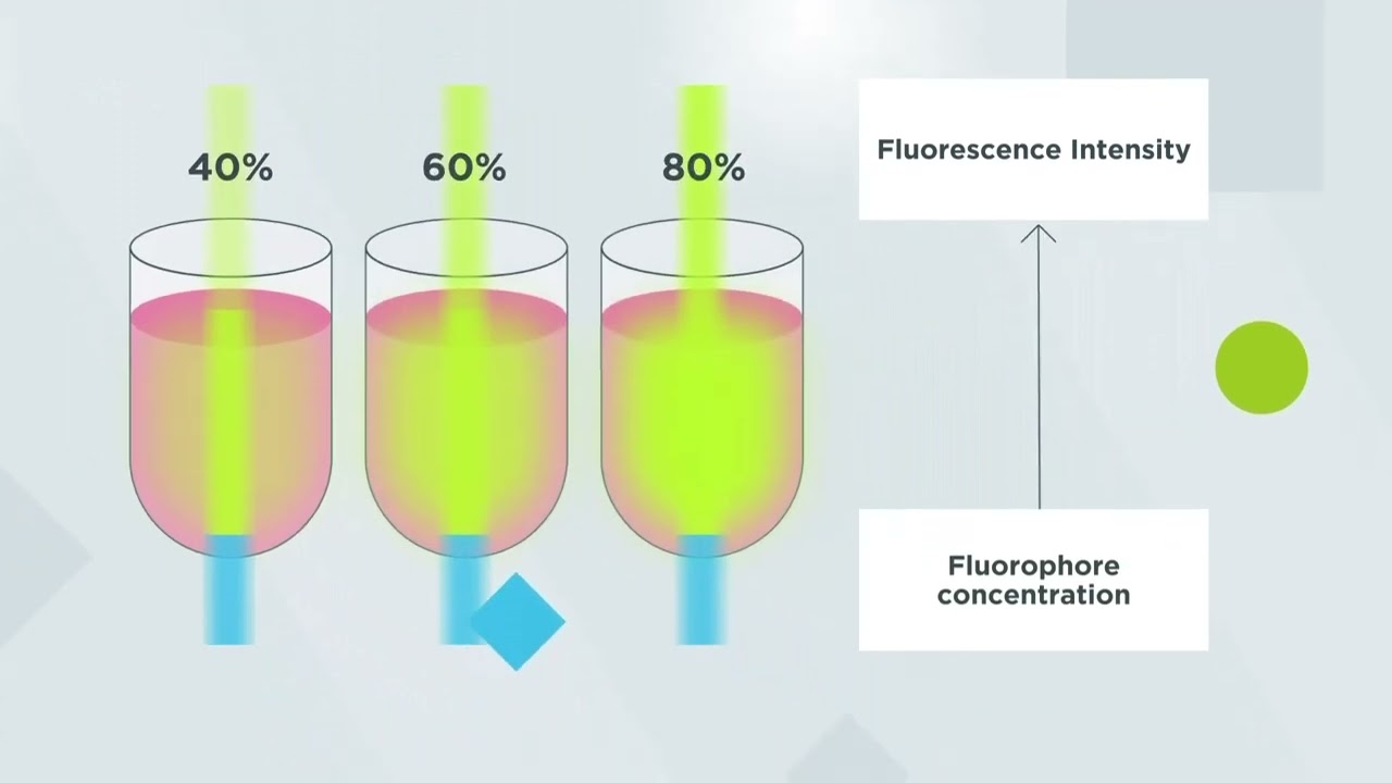 Fluorescence – How does it work in plate reader?