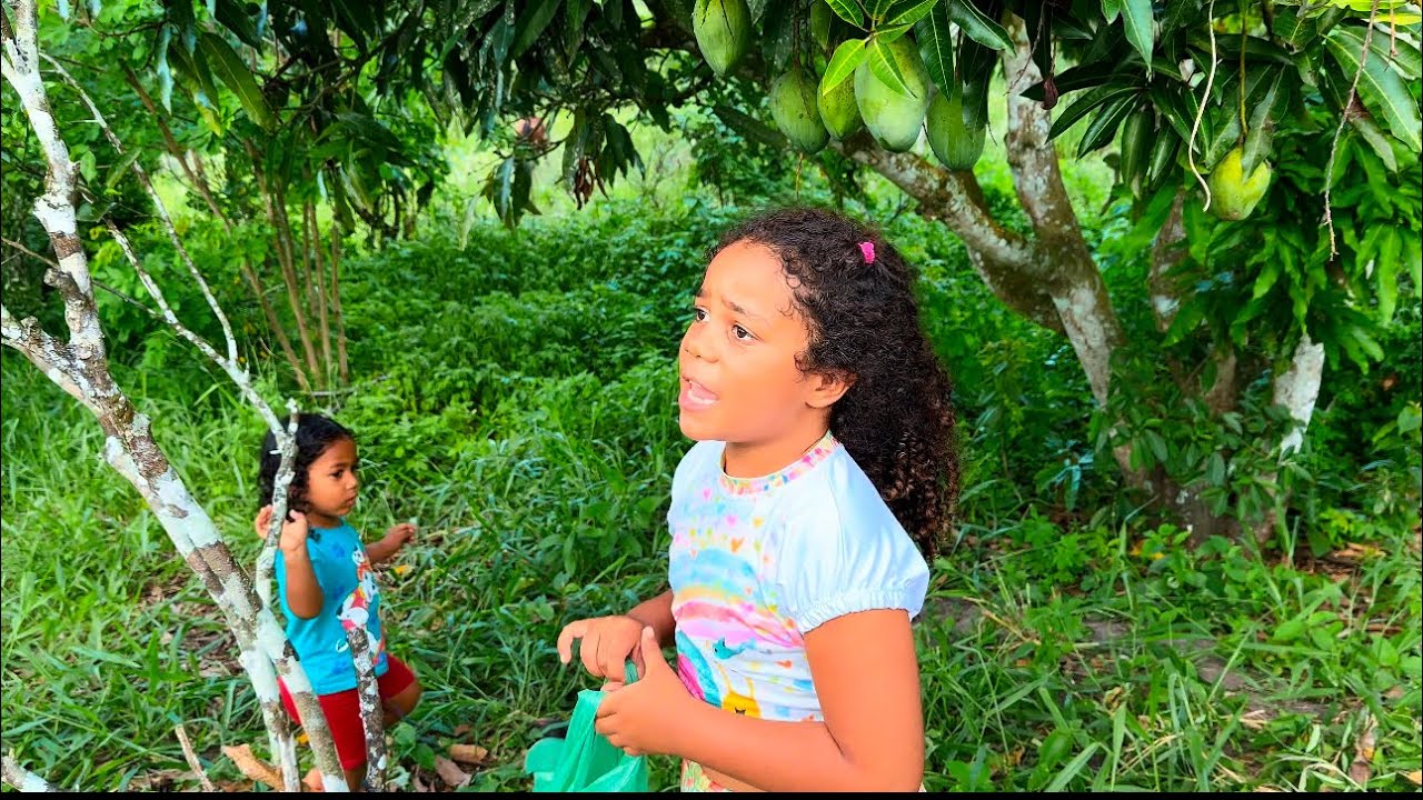 COLHENDO FRUTAS NO SÍTIO COM MARINA E LUCAS! Vlog Samy bele.