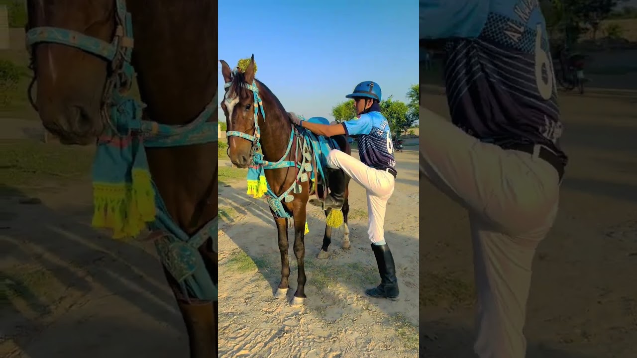 international tent pegging with Golden Boy Khan Wajahat Ullah Awan ❤💝🐎🐴Alkabeer Awan Club pk