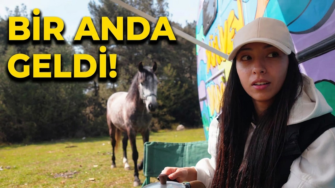 Kampın S&uuml;rpriz Misafiri: Susuz Kalan Ata Yardım Ettik! 🐴🚐 Karavanda Hafta Sonu Ka&ccedil;amağı 🌿