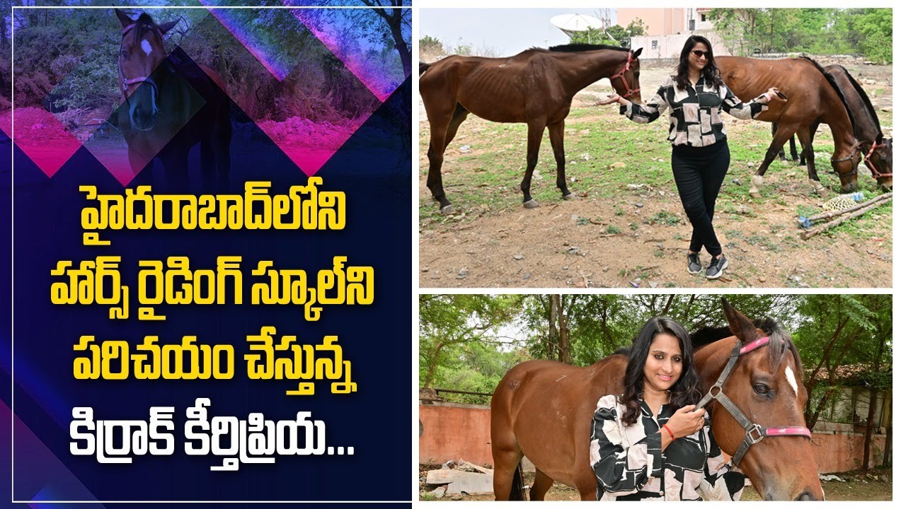 Best Place to Learn Horse Riding | Equewin Horse Riding Sports | Hyderabad